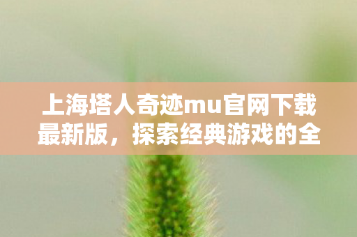 上海塔人奇迹mu官网下载最新版,探索经典游戏的全新体验,上海塔人奇迹mu官网下载,探索经典游戏的全新体验 上海塔人奇迹mu官网下载最新版,探索经典游戏的全新体验,上海塔人奇迹mu官网下载,探索经典游戏的全新体验