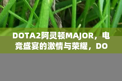 DOTA2阿灵顿MAJOR图片