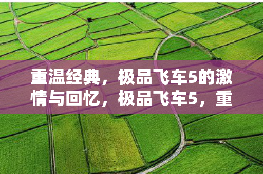 重温经典，极品飞车5的激情与回忆，极品飞车5，重温经典，激情与回忆的盛宴