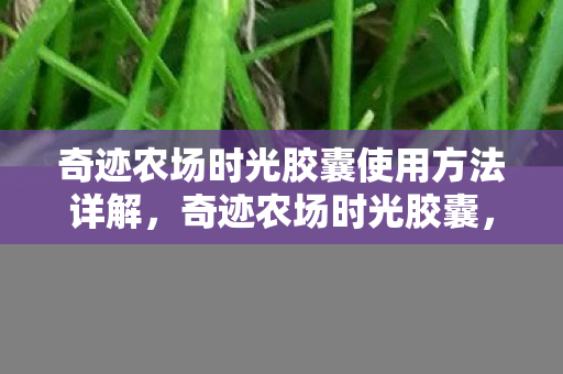 奇迹农场时光胶囊使用方法详解图片