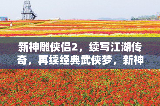 新神雕侠侣2,续写江湖传奇,再续经典武侠梦,新神雕侠侣2续写江湖传奇,再续经典武侠梦 新神雕侠侣2,续写江湖传奇,再续经典武侠梦,新神雕侠侣2续写江湖传奇,再续经典武侠梦