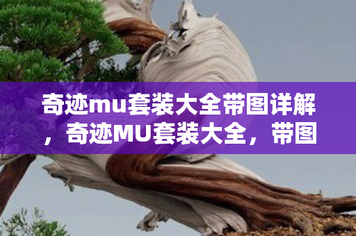 奇迹mu套装大全带图详解,奇迹MU套装大全,带图详解,助你打造最强角色! 奇迹mu套装大全带图详解,奇迹MU套装大全,带图详解,助你打造最强角色!