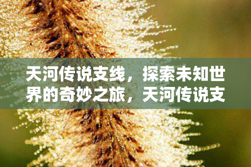 探索未知世界的奇妙之旅图片