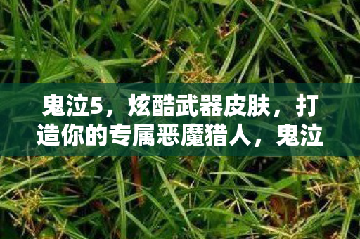 打造你的专属恶魔猎人炫酷武器皮肤图片