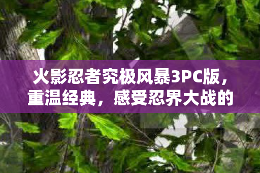 火影忍者究极风暴3PC版图片