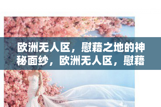 慰藉之地的神秘面纱图片