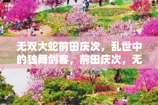 无双大蛇中的独舞剑客乱世之旅图片