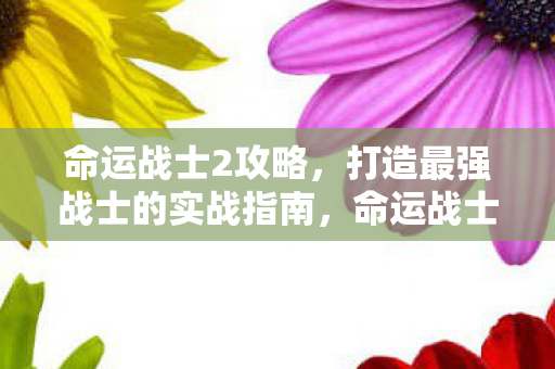打造最强战士的实战指南图片