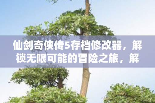 仙剑奇侠传5存档修改器,解锁无限可能的冒险之旅,解锁无限可能!仙剑奇侠传5存档修改器助你畅游冒险之旅 仙剑奇侠传5存档修改器,解锁无限可能的冒险之旅,解锁无限可能!仙剑奇侠传5存档修改器助你畅游冒险之旅