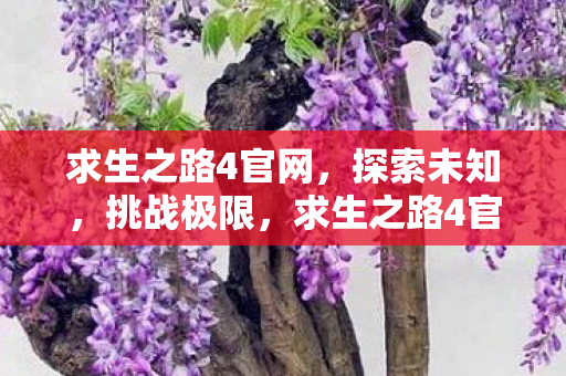 求生之路4官网,探索未知,挑战极限,求生之路4官网,探索未知,挑战极限 求生之路4官网,探索未知,挑战极限,求生之路4官网,探索未知,挑战极限