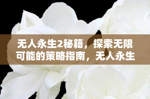 探索无限可能的策略指南图片
