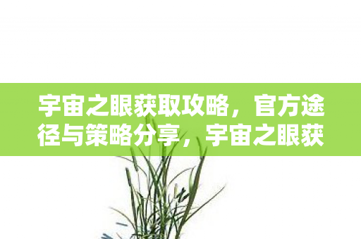 官方途径与策略全解析图片
