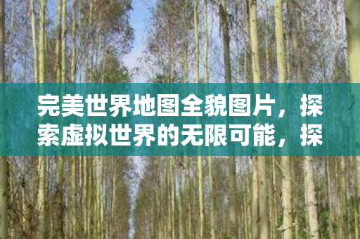 完美世界地图全貌图片,探索虚拟世界的无限可能,探索虚拟世界的无限可能,完美世界地图全貌图片 完美世界地图全貌图片,探索虚拟世界的无限可能,探索虚拟世界的无限可能,完美世界地图全貌图片