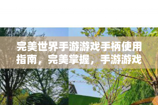 完美世界手游游戏手柄使用指南图片
