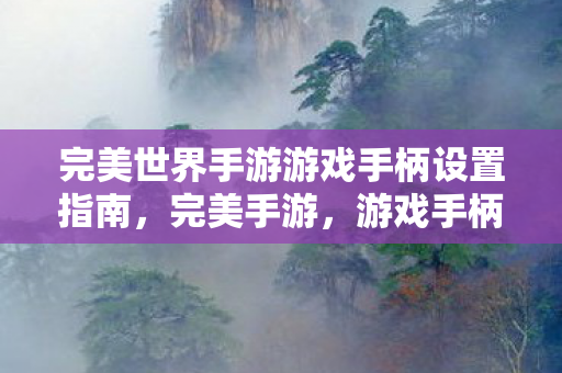 完美世界手游游戏手柄设置指南图片