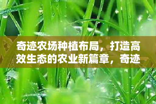 打造高效生态的农业新篇章图片