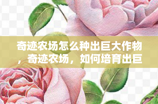 奇迹农场怎么种出巨大作物图片