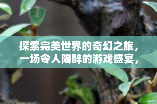 探索完美世界的奇幻之旅,一场令人陶醉的游戏盛宴,探索奇幻之旅,一场令人陶醉的游戏盛宴 探索完美世界的奇幻之旅,一场令人陶醉的游戏盛宴,探索奇幻之旅,一场令人陶醉的游戏盛宴