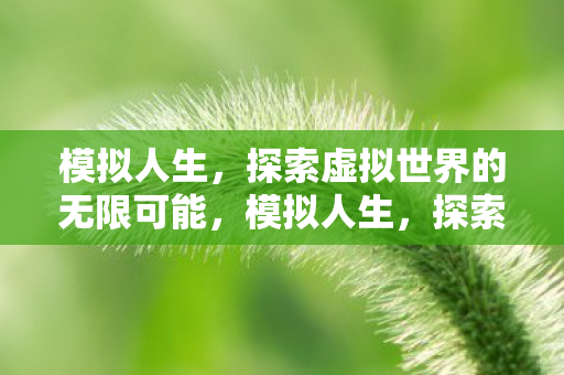 模拟人生,探索虚拟世界的无限可能,模拟人生,探索虚拟世界的无限可能 模拟人生,探索虚拟世界的无限可能,模拟人生,探索虚拟世界的无限可能