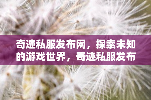 探索未知游戏世界的奇妙之旅图片