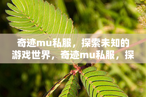探索未知的游戏世界之旅图片