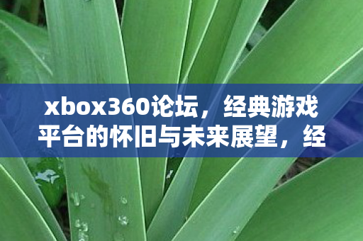 xbox360论坛,经典游戏平台的怀旧与未来展望,经典游戏平台Xbox360的怀旧与未来展望 xbox360论坛,经典游戏平台的怀旧与未来展望,经典游戏平台Xbox360的怀旧与未来展望