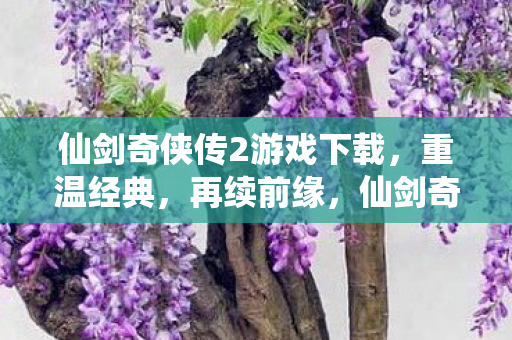 仙剑奇侠传2游戏下载，重温经典，再续前缘，仙剑奇侠传2经典再现，重温前缘，下载体验！