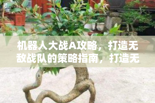 机器人大战A攻略,打造无敌战队的策略指南,打造无敌战队,机器人大战A攻略策略指南 机器人大战A攻略,打造无敌战队的策略指南,打造无敌战队,机器人大战A攻略策略指南