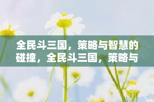 全民斗三国,策略与智慧的碰撞,全民斗三国,策略与智慧的较量 全民斗三国,策略与智慧的碰撞,全民斗三国,策略与智慧的较量