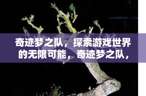 探索游戏世界的无限可能图片