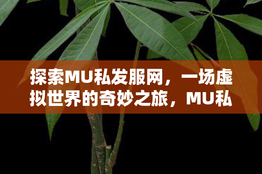 探索MU私发服网,一场虚拟世界的奇妙之旅,MU私发服网,虚拟世界的奇妙探险之旅 探索MU私发服网,一场虚拟世界的奇妙之旅,MU私发服网,虚拟世界的奇妙探险之旅