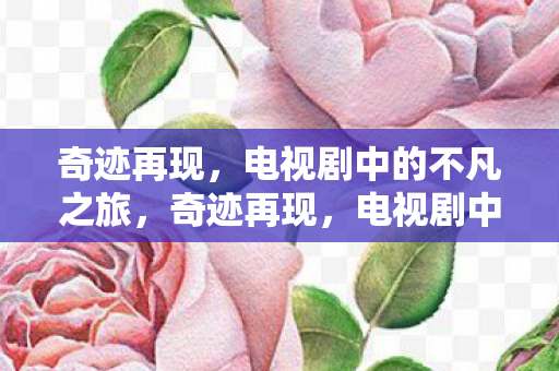 电视剧中的不凡之旅图片