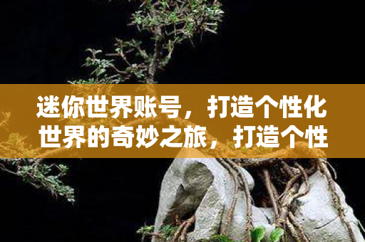 迷你世界账号，打造个性化世界的奇妙之旅，打造个性化世界的奇妙之旅，迷你世界账号