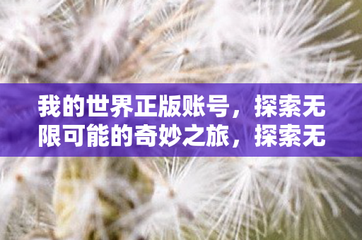 我的世界正版账号,探索无限可能的奇妙之旅,探索无限可能,我的世界正版账号奇妙之旅 我的世界正版账号,探索无限可能的奇妙之旅,探索无限可能,我的世界正版账号奇妙之旅