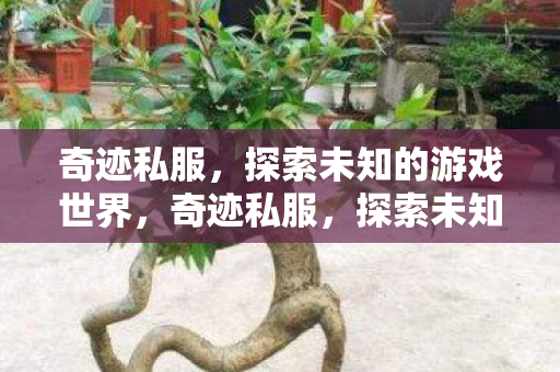 探索未知的游戏世界之旅图片