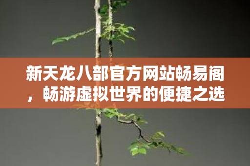 新天龙八部官方网站畅易阁图片