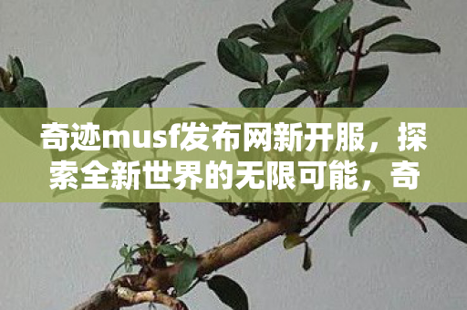 奇迹musf发布网新开服图片