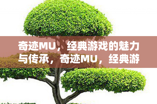 经典游戏的魅力与传承图片