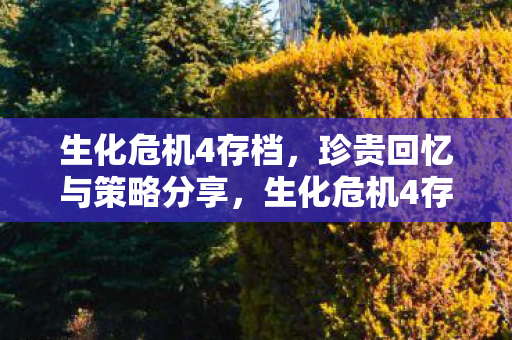生化危机4存档,珍贵回忆与策略分享,生化危机4存档,珍贵回忆与策略分享 生化危机4存档,珍贵回忆与策略分享,生化危机4存档,珍贵回忆与策略分享