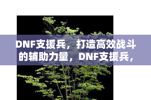 DNF支援兵,打造高效战斗的辅助力量,DNF支援兵,打造高效战斗的辅助力量 DNF支援兵,打造高效战斗的辅助力量,DNF支援兵,打造高效战斗的辅助力量