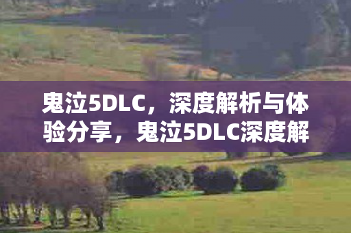 鬼泣5DLC，深度解析与体验分享，鬼泣5DLC深度解析，体验分享与感受