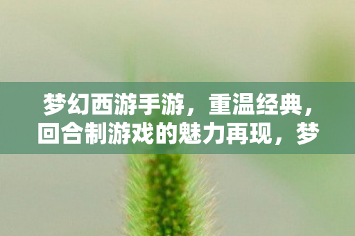 回合制游戏的魅力再现图片