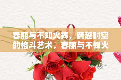时空交错中的格斗传奇图片