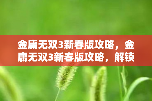 金庸无双3新春版攻略图片