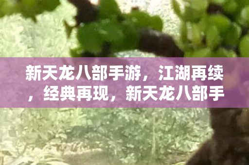 新天龙八部手游,江湖再续,经典再现,新天龙八部手游,江湖再续,经典再现 新天龙八部手游,江湖再续,经典再现,新天龙八部手游,江湖再续,经典再现