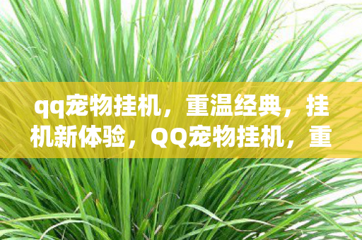 qq宠物挂机，重温经典，挂机新体验，QQ宠物挂机，重温经典，挂机新体验