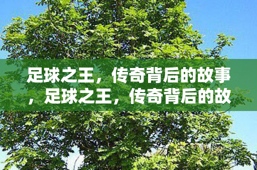 足球之王,传奇背后的故事,足球之王,传奇背后的故事 足球之王,传奇背后的故事,足球之王,传奇背后的故事