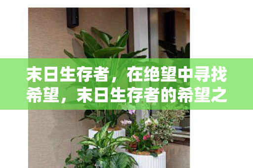 末日生存者,在绝望中寻找希望,末日生存者的希望之路 末日生存者,在绝望中寻找希望,末日生存者的希望之路