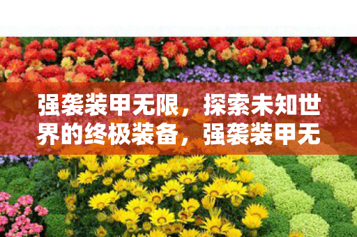 强袭装甲无限,探索未知世界的终极装备,强袭装甲无限,探索未知世界的终极装备 强袭装甲无限,探索未知世界的终极装备,强袭装甲无限,探索未知世界的终极装备