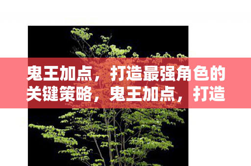 打造最强角色的关键策略图片